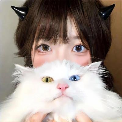 奈特传奇封面